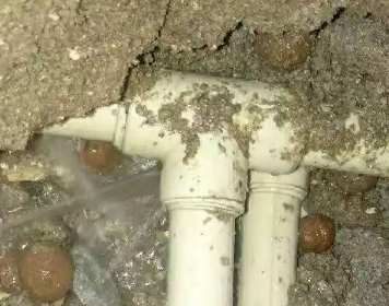 礼泉测漏水多少钱