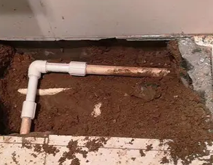 礼泉测漏水哪家好