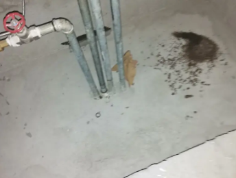 礼泉卫生间测漏水价格明细