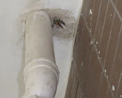 礼泉漏水检测哪家好